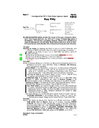 1213 Bay Filly