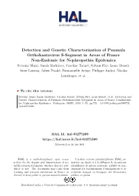 Detection and Genetic Characterization of Puumala