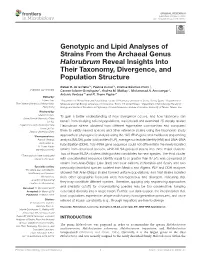 Genotypic and Lipid Analyses of Strains from the Archaeal Genus Halorubrum Reveal Insights Into Their Taxonomy, Divergence, and Population Structure
