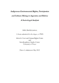 Indigenous Environmental Rights, Participation and Lithium Mining In