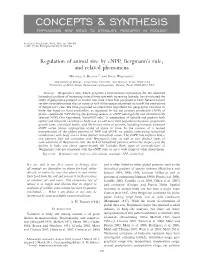 Concepts & Synthesis