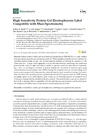 High Sensitivity Protein Gel Electrophoresis Label Compatible with Mass-Spectrometry