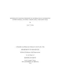 Mineralogy and Geochemistry of Tourmaline in Contrasting Hydrothermal Systems: Copiapó Area, Northern Chile