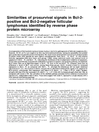 Similarities of Prosurvival Signals in Bcl-2- Positive and Bcl-2-Negative Follicular Lymphomas Identified by Reverse Phase Protein Microarray