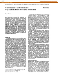 Chromosome Cohesion and Separation