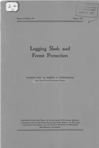 Logging Slash and Forest Protection