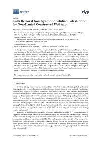 Salts Removal from Synthetic Solution-Potash Brine by Non-Planted Constructed Wetlands