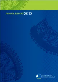 2013 Annual Report