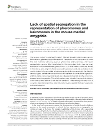 Lack of Spatial Segregation in the Representation of Pheromones and Kairomones in the Mouse Medial Amygdala