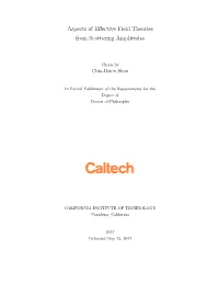 Aspects of Effective Field Theories from Scattering Amplitudes