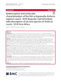 (Isopoda: Cymothoidae), with Description of Six New Species of Anilocra Leach, 1818 from Africa Rachel L