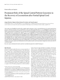Prominent Role of the Spinal Central Pattern Generator in the Recovery of Locomotion After Partial Spinal Cord Injuries
