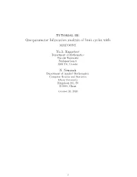 Tutorial Iii: One-Parameter Bifurcation Analysis of Limit Cycles with Matcont Yu.A