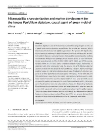 Microsatellite Characterization and Marker Development for the Fungus Penicillium Digitatum, Causal Agent of Green Mold of Citrus