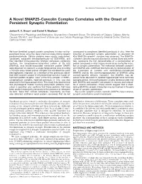 A Novel SNAP25–Caveolin Complex Correlates with the Onset of Persistent Synaptic Potentiation