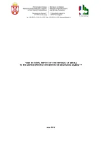 CBD First National Report