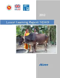 Lesson Learning Report: MJSKS