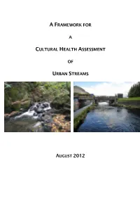 Urban Streams