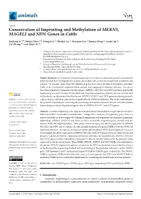 Conservation of Imprinting and Methylation of MKRN3, MAGEL2 and NDN Genes in Cattle