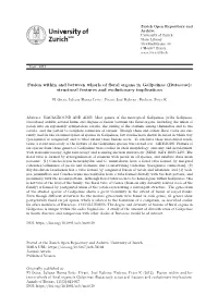 Fusion Within and Between Whorls of Floral Organs in Galipeinae (Rutaceae): Structural Features and Evolutionary Implications