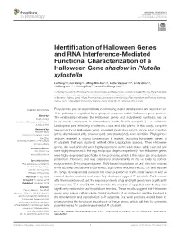 Identification of Halloween Genes and RNA Interference-Mediated