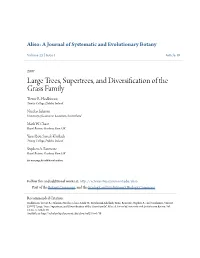 Large Trees, Supertrees, and Diversification of the Grass Family Trevor R