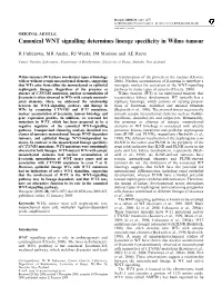 Canonical WNT Signalling Determines Lineage Specificity in Wilms Tumour