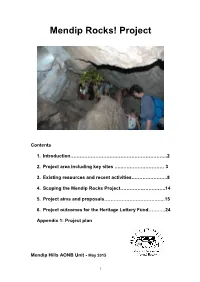 Mendip Rocks! Project