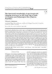 The Functional Morphology of Species-Specific Clasping Structures