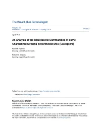 An Analysis of the Shore Beetle Communities of Some Channelized Streams in Northwest Ohio (Coleoptera)