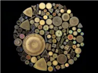 Photography Through the Microscope David Linstead Phd • an Introduction to the Many Ways to Take Pleasing Digital Photographs Through Your Microscope