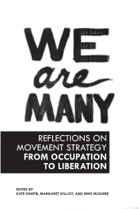 Reflections on Movement Strategy from Occupation to Liberation