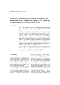 The Internal Genitalia As a Taxonomic Tool: Description of the Relict Endemic Moth, Coranarta Restricta Sp