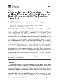 A Modeling Study on the Influence of Sea-Level Rise and Channel Deepening on Estuarine Circulation and Dissolved Oxygen Levels I