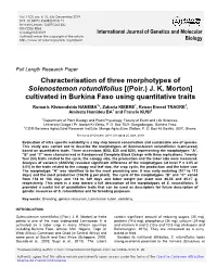 Characterisation of Three Morphotypes of Solenostemon Rotundifolius [(Poir.) JK Morton]