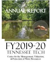Annual Report and Updates the Website