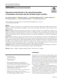Filamentous Fungi Diversity in the Natural Fermentation of Amazonian Cocoa Beans and the Microbial Enzyme Activities