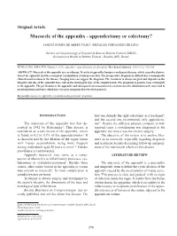 Mucocele of the Appendix - Appendectomy Or Colectomy?