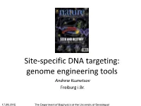 Site-Specific DNA Targeting: Genome Engineering Tools Andrew Kuznetsov Freiburg I.Br