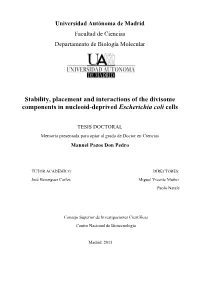 Stability, Placement and Interactions of the Divisome Components in Nucleoid-Deprived Escherichia Coli Cells