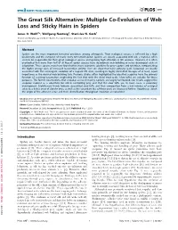 Multiple Co-Evolution of Web Loss and Sticky Hairs in Spiders