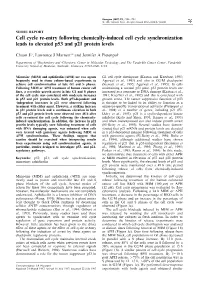 Cell Cycle Re-Entry Following Chemically-Induced Cell Cycle Synchronization Leads to Elevated P53 and P21 Protein Levels