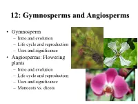 Lecture 12: Gymnosperms and Angiosperms
