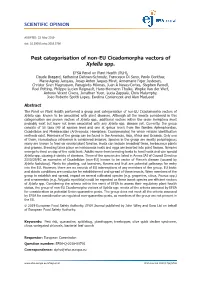 Pest Categorisation of Non‐EU Cicadomorpha Vectors of Xylella Spp