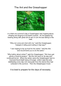 The Ant and the Grasshopper