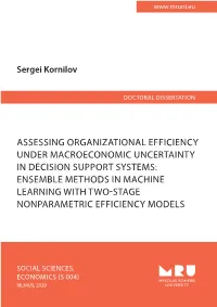 Assessing Organizational Efficiency Under Macroeconomic Uncertainty in Decision Support Systems