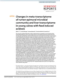 Changes in Meta-Transcriptome of Rumen Epimural Microbial