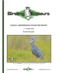 Uganda: Comprehensive Custom Trip Report