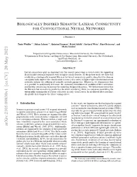 Biologically Inspired Semantic Lateral Connectivity for Convolutional Neural Networks
