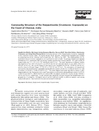 Community Structure of the Harpacticoida